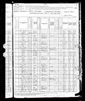 John G. Springer - 1880 United States Federal Census
