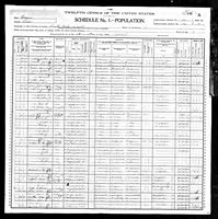 Nelson L Springer - 1900 United States Federal Census