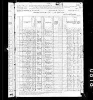 George W. Harvey - 1880 United States Federal Census