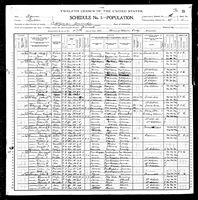 Arthur L Springer - 1900 United States Federal Census