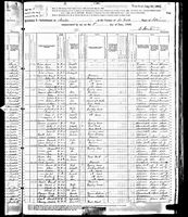 William Thornton - 1880 United States Federal Census