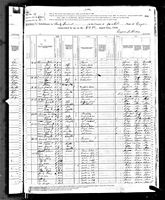 George W. Springer - 1880 United States Federal Census