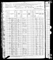 Lissett Lisey - 1880 United States Federal Census