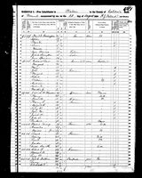 Content Harvey - 1850 United States Federal Census