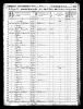 1850 United States Federal Census - Homer Harvey