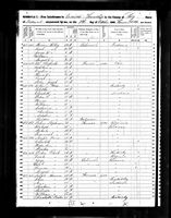 Adaline Borer - 1850 United States Federal Census