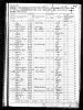 1860 United States Federal Census - Henry C Bray