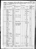 Theresa Hansing - 1860 United States Federal Census