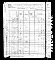 David F. Spoor - 1880 United States Federal Census