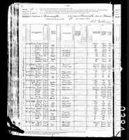 Lucy Caroline HARVEY - 1880 United States Federal Census