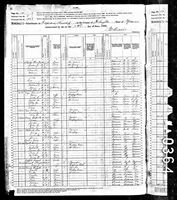 Nancy Alice Hays - 1880 United States Federal Census