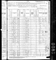 Rosey Tongate - 1880 United States Federal Census