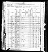 Newton Bowman - 1880 United States Federal Census