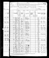 Lousa B. Nyce - 1880 United States Federal Census