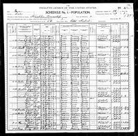Elisa Koehn - 1900 United States Federal Census