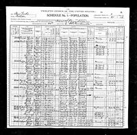 Lucy Caroline HARVEY - 1900 United States Federal Census
