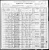 1900 United States Federal Census - Mary Ann Danaher