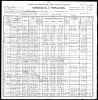 1900 United States Federal Census - Mike E Mooney