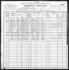 1900 United States Federal Census - Rosa Ann Ritz