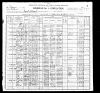 1900 United States Federal Census - Sarah Jane Stough