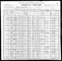 Theodore H Schneve - 1900 United States Federal Census