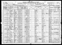 Lela M Springer - 1920 United States Federal Census