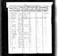 New Orleans, Passenger Lists, 1813-1963 - Hans Ulrich Ritz