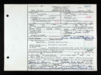 Mary Ann Maslowska - Pennsylvania, Death Certificates, 1906-1964