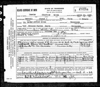 Carrie Groom - Tennessee, Delayed Birth Records, 1869-1909