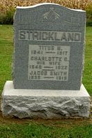Strickland, Titus H. (I16562)